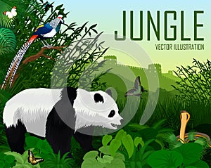 China jungle forest with giant panda bear, cobra and diamond lady amherst`s pheasant