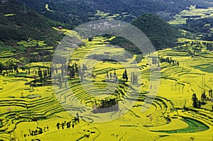 China Luoping marine of