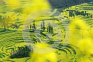 China Luoping marine of