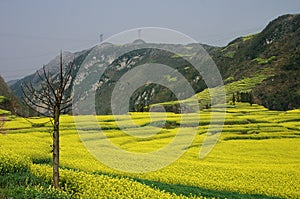 China Luoping marine of