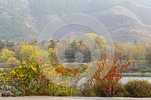 China National Botanical Garden spring