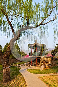 China National Botanical Garden spring