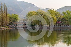 China National Botanical Garden spring