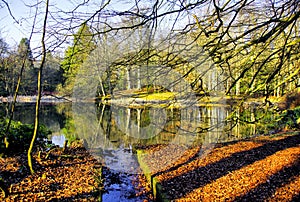 China Pond at Wallington Hall