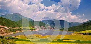 China Qinghai Flower and Field Landscape photo