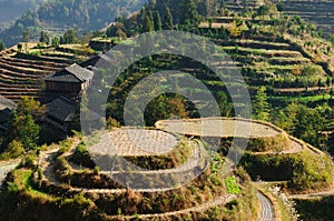 China - rice terraces