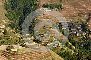 China - rice terraces