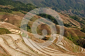 China - rice terraces