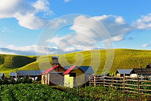 China rural landscape