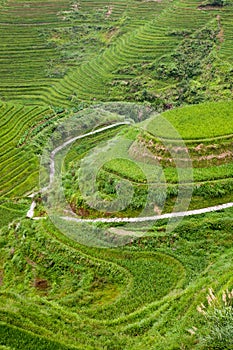 China rural landscape