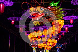 Chinese totem dragon