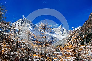 China`s Bipenggou scenic spot - early winter scenery