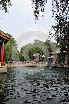 China`s Jinan City, Shandong province, baotu Spring Park