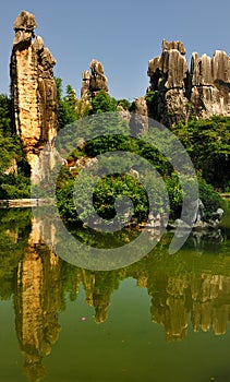 China's Stone Forest