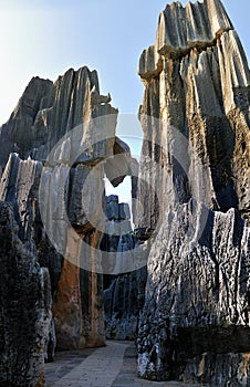 China's Stone Forest