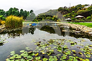 China Shanghai Botanical Garden 16