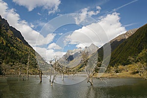 China Sichuan autumn scenery