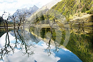 China Sichuan autumn scenery