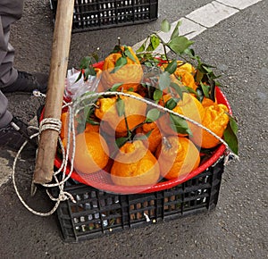 China Sichuan Chengdu Fresh Farm Fruit Giant Mandarin Tangerine Oranges Snack Cultural Intangible Heritage Food Cuisine Style