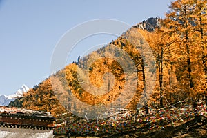 China Sichuan Daocheng landscape