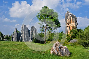 China Stone Forest