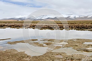 China, Tibet. The shore of the lake Ngangtse Nganga Tso 4690 m in June