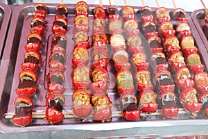 China traditional delicacy