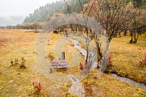 China winter landscape