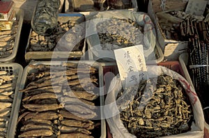 CHINA XIAN CHINESE MEDICINE MARKET