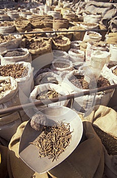 CHINA XIAN CHINESE MEDICINE MARKET