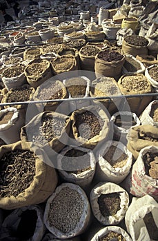 CHINA XIAN CHINESE MEDICINE MARKET