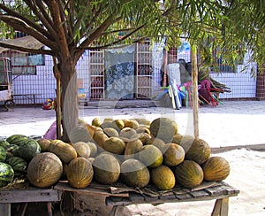 China Xinjiang Agriculture Farm Fruits Harvest Produce Melons Street Market Geology Park Desert Museum Uygur China Nature Outdoor