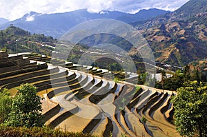 China Yunnan Hani Terrace photo