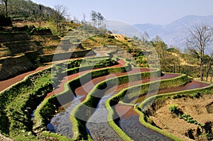 China Yunnan Hani Terrace View