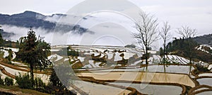 China Yunnan Hani Terrace View