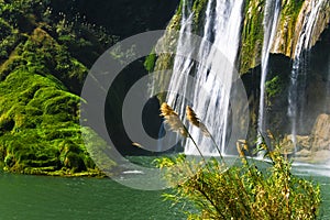 China Yunnan Luoping Kowloon falls group