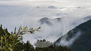 China Zhejiang cloudy mountain