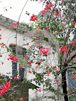 China Zhuhai Beishan Village Yangs` Ancestral House Mansion Traditional Heritage Ancient Antique Chinese Architecture Cravings