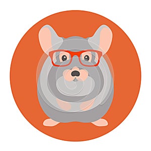 Chinchilla rodent in glasses vector illustration flat style