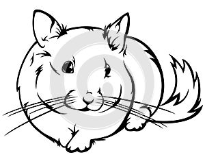 Chinchilla vector