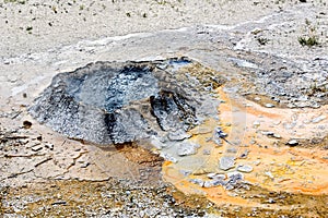 Chines Spring in Yellowstone National Park