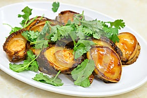 Chinese Abalone