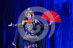 Chinese Acrobats & Dancers of Moonlight Forest Festival