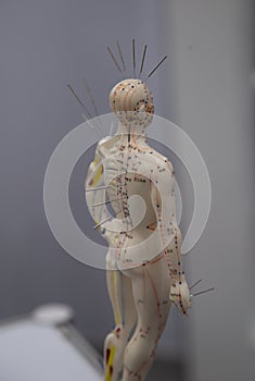 Chinese acupuncture dummy