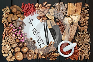 Acupuncture Therapy and Chinese Herbs