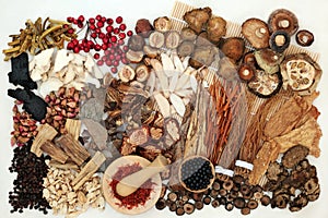 Chinese Alternative Herbal Medicine with Herbs and Spices