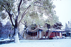 Chinese ancient architecture in snowing garden