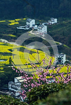 Chinese ancient old valley village overlook in mountain with flower, in anhui, huizhou, China.