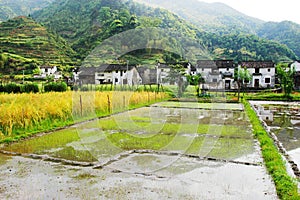 Chinese Ancient Villages