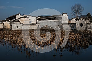 Chinese ancient water village with tradition house, culture and life